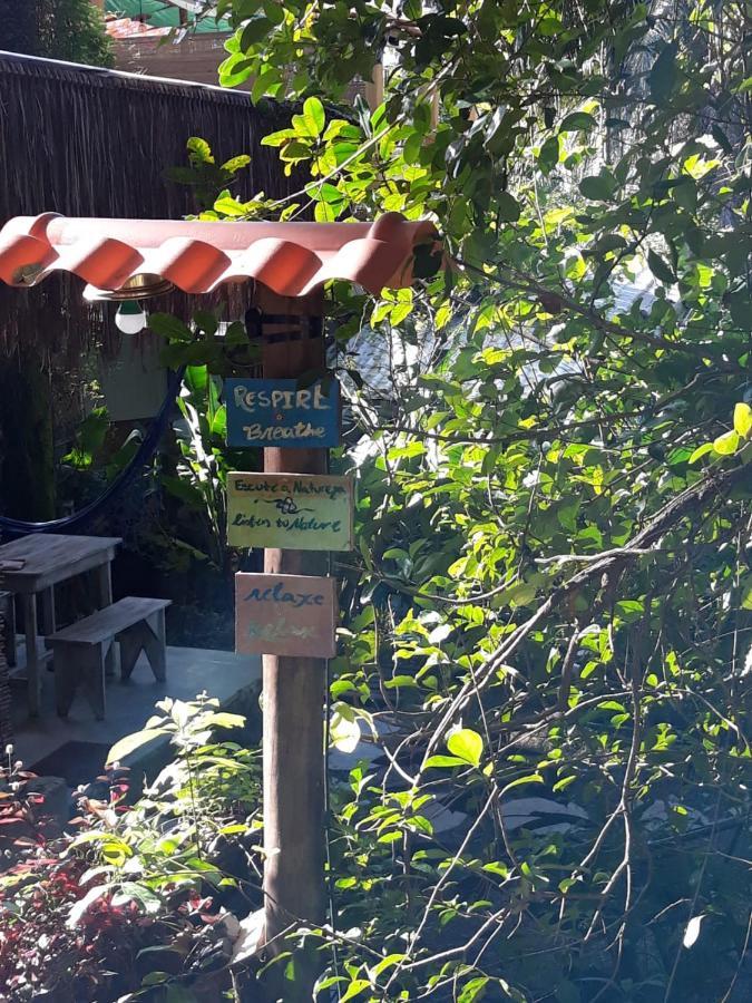 Eco Hostel Bosque Di Barro Velha Boipeba Eksteriør bilde