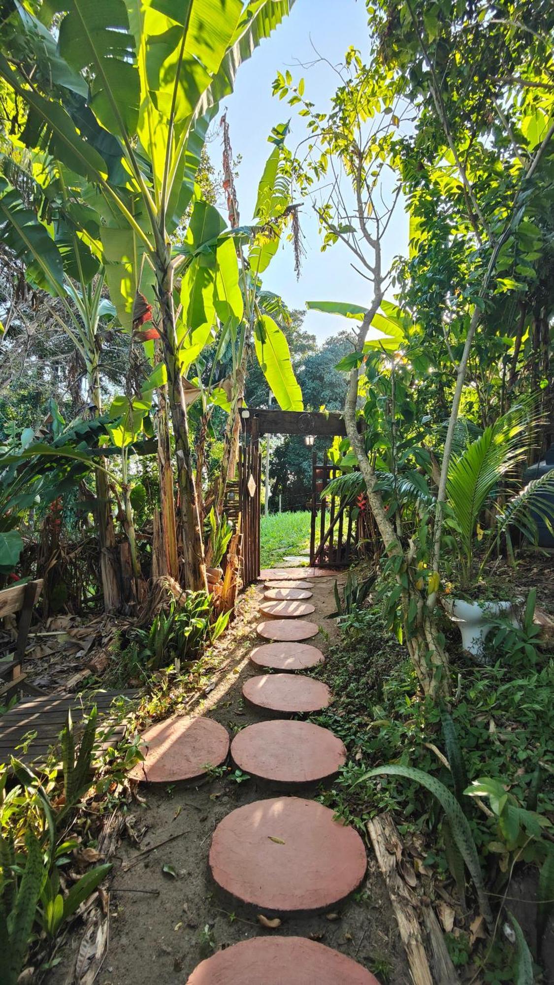 Eco Hostel Bosque Di Barro Velha Boipeba Eksteriør bilde